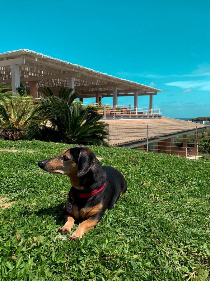 Park Asinara 3* Stintino